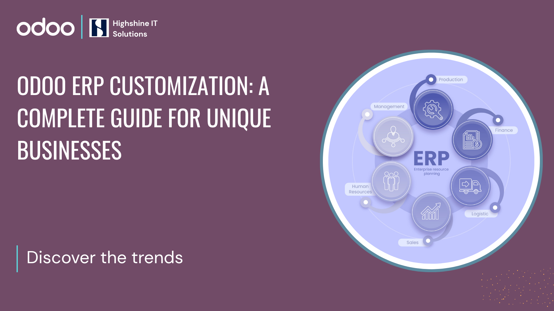 Odoo ERP Customization: A Complete Guide for Unique Businesses